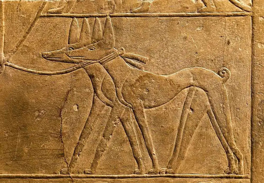 Dogs and Their Roles in Art