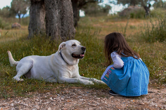 Dog Heroes: Stories of Brave and Heroic Dogs