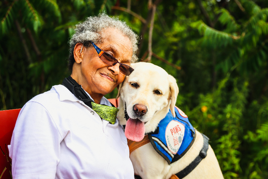 Service Dogs: Trivia on Their Roles and Training