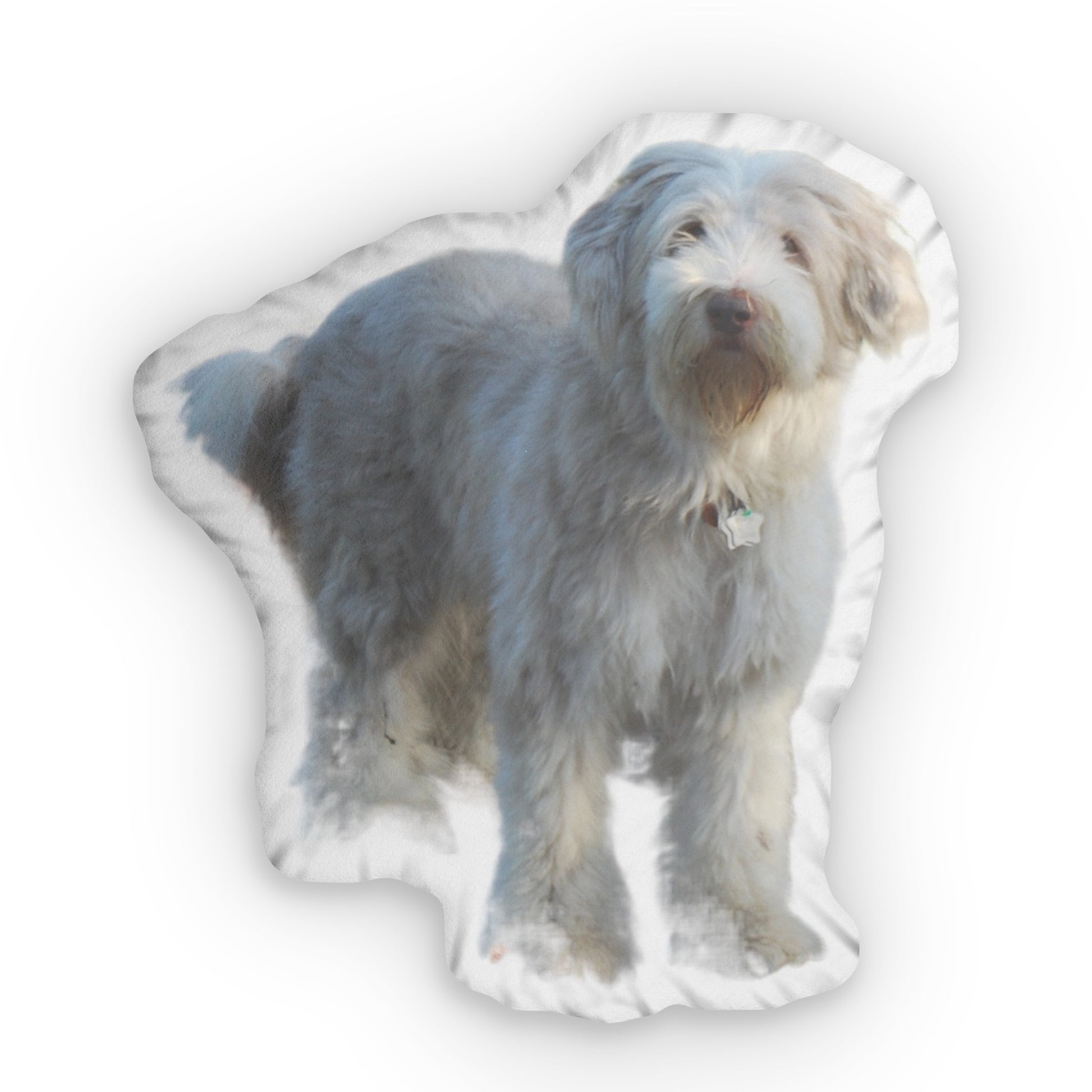 Dog Shaped Pillow from Your Photo Custom Print