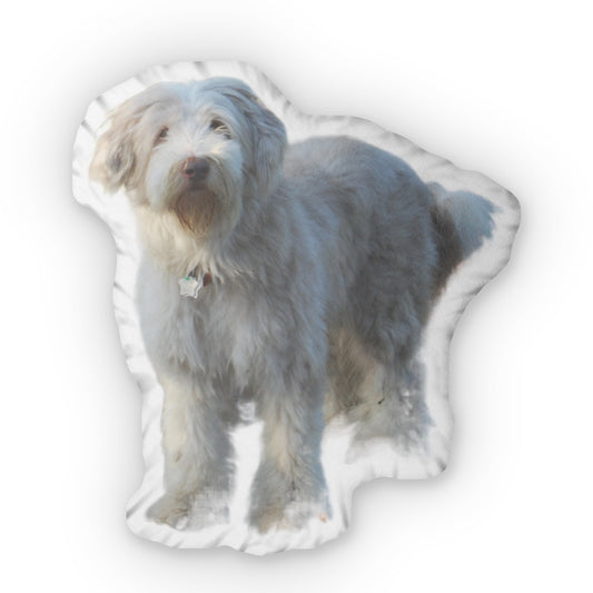 Dog Shaped Pillow from Your Photo Custom Print