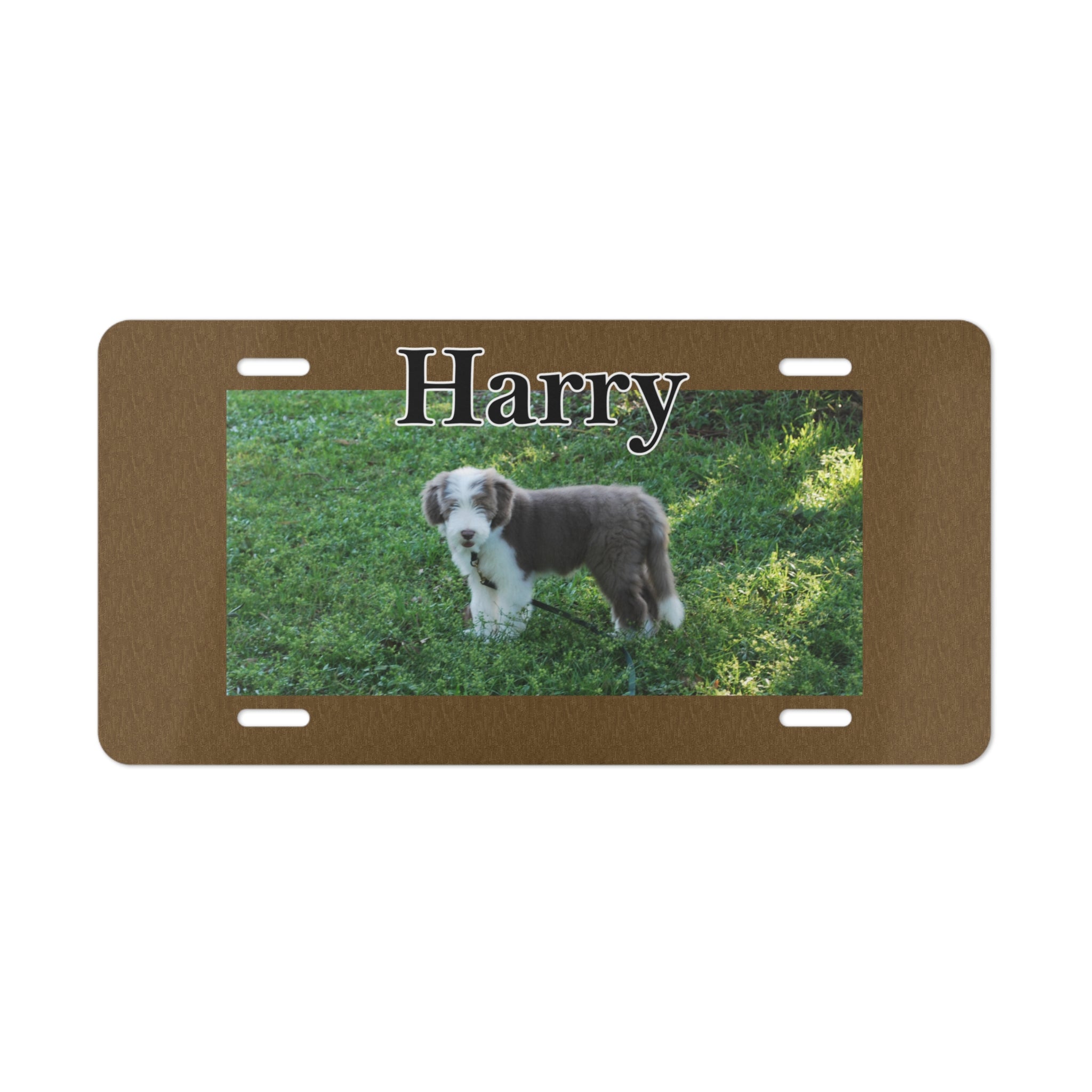 Personalized Pet License Plate Custom Dog Front Tag The Hairy Dog Store