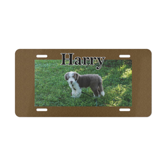 Personalized Pet License Plate Custom Dog Front Tag