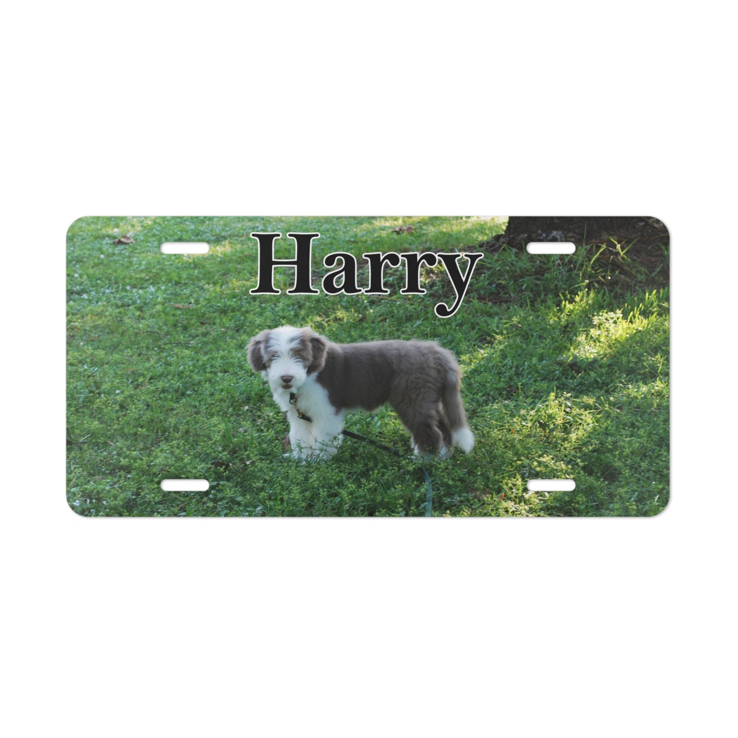 Personalized Dog Front License Plate Car Tag Vanity Plate