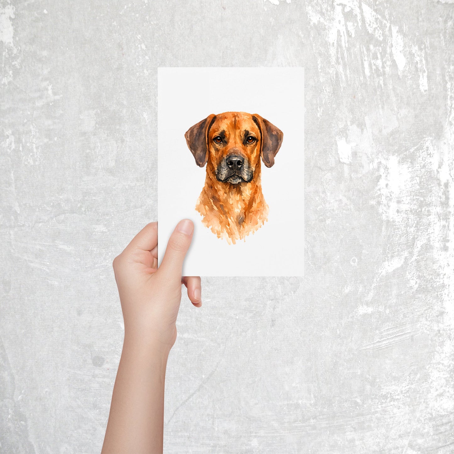 Rhodesian Ridgeback Watercolor Print Dog Notecard | 4x6 Blank Inside | Cute Pet Lover Stationery