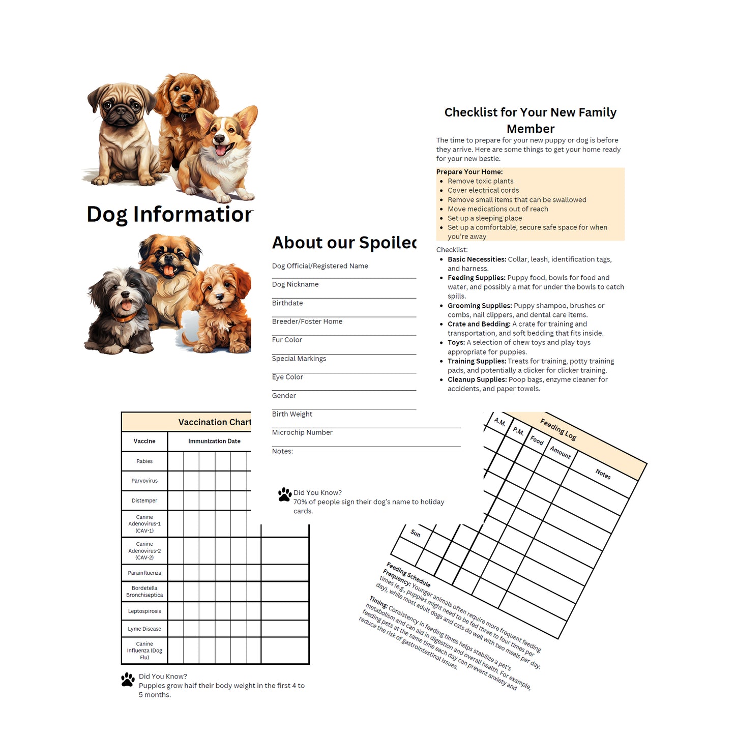 Printable Dog Pet Care Planner Health Record Checklists Worksheets Digital Download