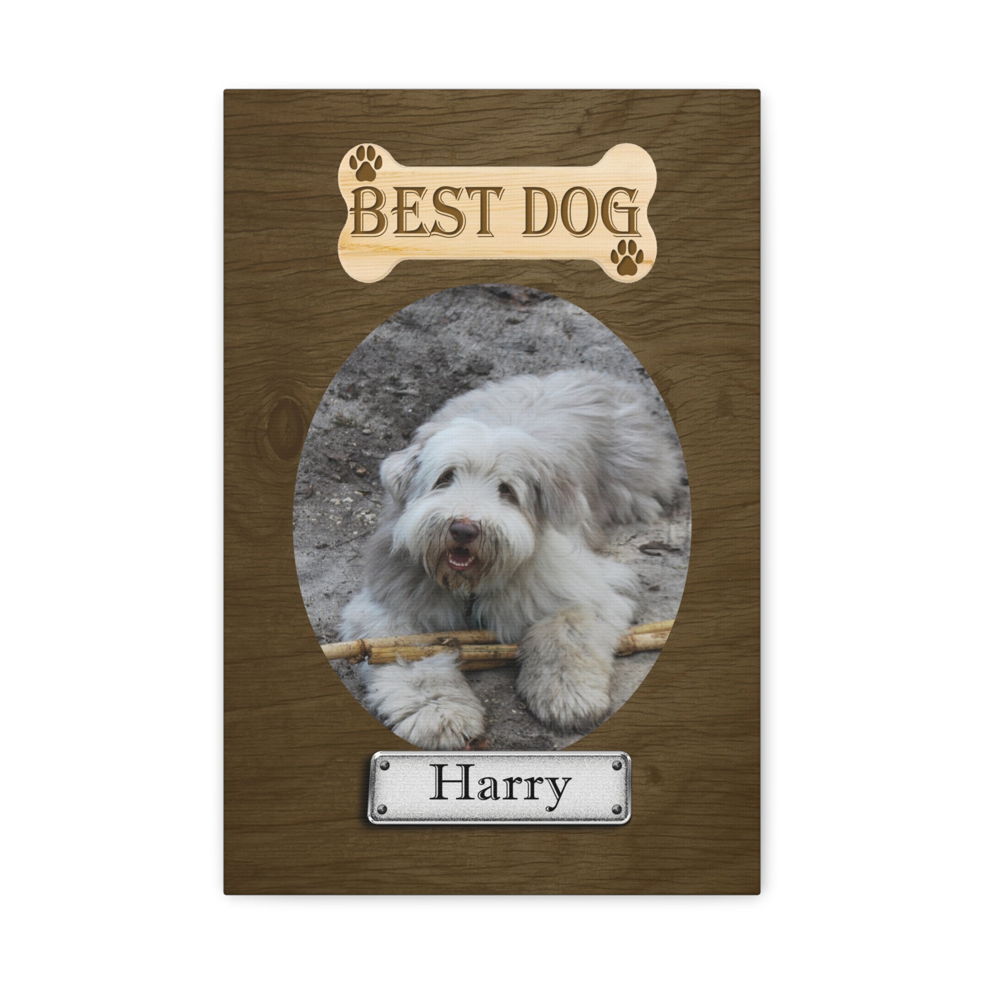 Personalized Dog Wall Art Pet Canvas Custom Pet Portraits of Harry on white background